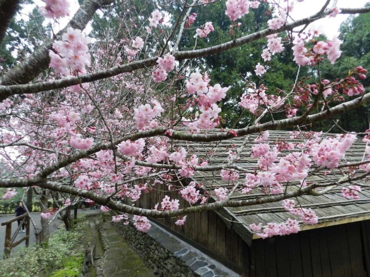 Yong Guan Bed and Breakfast Yuchi Exterior foto